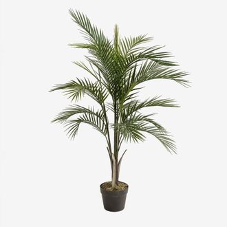 Sklum Planta Artificial Decorativa Palmera Pigmea 110 Cm Sklum
