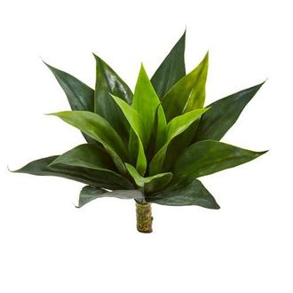 Nearly Natural 13-in Agave Succulent Artificial Plant in Green at Nordstrom