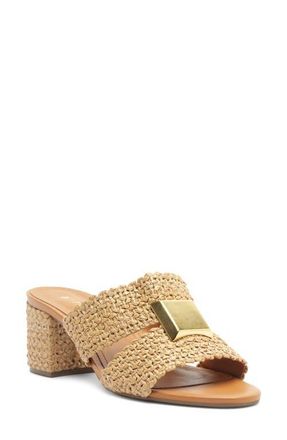 Arezzo Jackie Slide Sandal in Areia at Nordstrom, Size 6.5