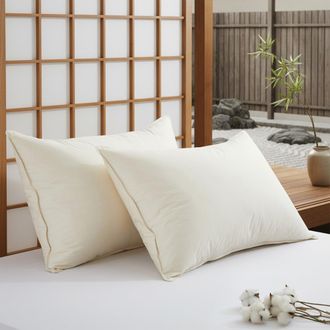 Puredown Goose Feather & Down Pillow