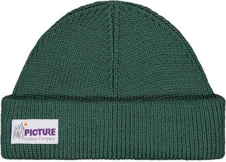 Picture Camot Beanie in Smoke Pine at Nordstrom