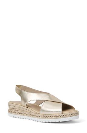 Aquatalia Adelina Weatherproof Slingback Espadrille Platform Wedge Sandal in Platino at Nordstrom, Size 11