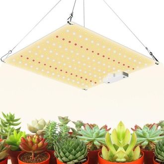OEM Tablero Cu&aacute;ntico De Actualizaci&oacute;n Tablero Cu&aacute;ntico Atenuaci&oacute;n De Luz Variable Luces Led Para Plantas Luces De Cultivo Invernadero Frutas Y Verduras Lu