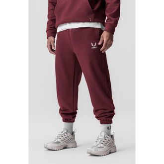 ASRV Tech Terry Oversized Sweatpants in Crimson at Nordstrom, Size X-Large