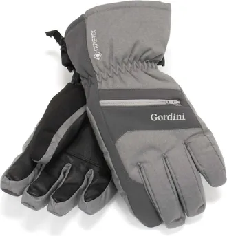 Gordini Mens Da Goose Gore-Tex Glove In Grey