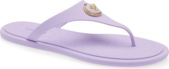 Versace Medusa Flip Flop in Dusty Lavender-Versace Gold at Nordstrom, Size 37