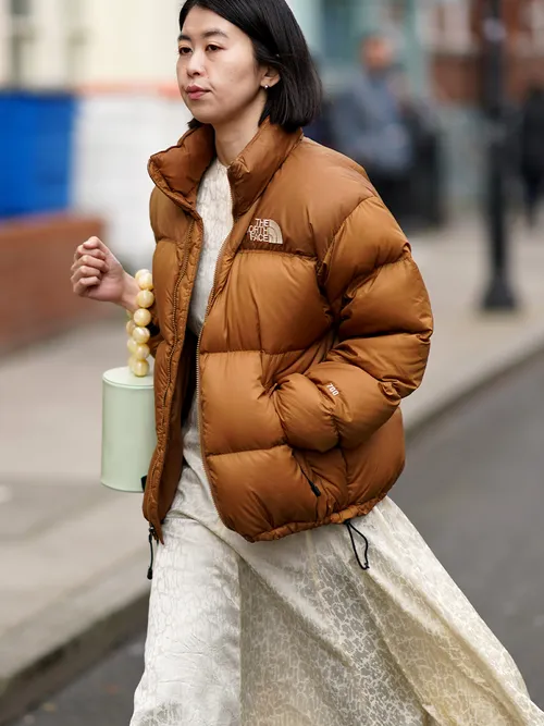 Every It girl is wearing this North Face coat this winter Stylight