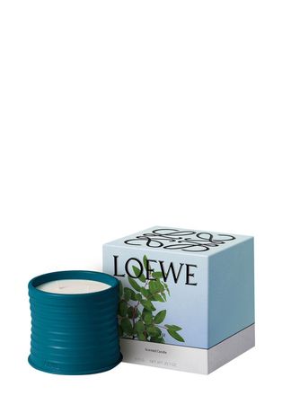 Loewe Incense Candle - Medium 610g, Candle, Mid-intensity Fragrance, Balsamic, Woody Scent, Sweet, Fresh Notes, Medium, 610g