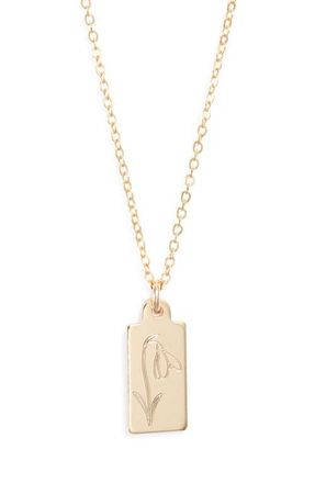 Set & Stones Tawney Birth Flower Pendant Necklace in Gold/january at Nordstrom