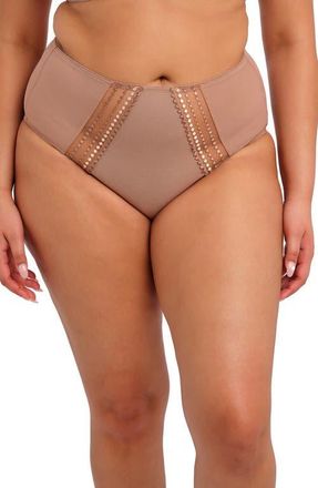 Elomi Matilda Full Figure Embellished Briefs in Pralin at Nordstrom, Size 3X-Large