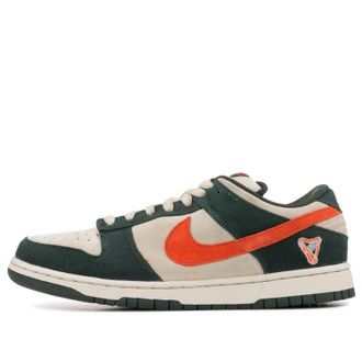 Nike SB Dunk Low Pro Eire 304292-185