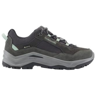 Lowa Ventierra GTX Lo Multisportschuhe f&uuml;r Damen | grau