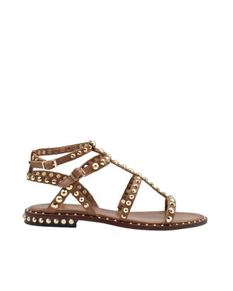 Ash Precious Sandal In Marsala