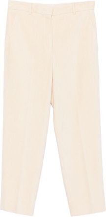 Circolo 1901 Pantalone Circolo 1901 in cotone a carota