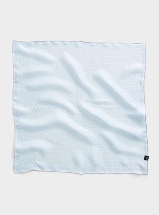 Fraas Womens Pure silk dotted scarf