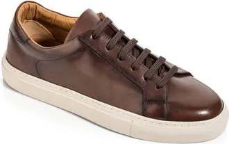 To Boot New York Gavin Leather Low Top Sneaker in Brown at Nordstrom, Size 10.5