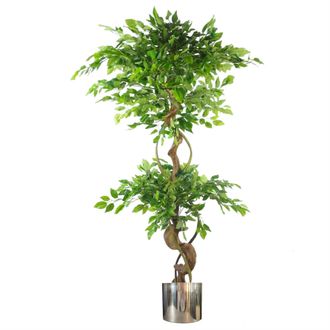 Leaf Japanese Fruticosa Ficus Tree Silver Planter 150cm Twisted Trunk Artificial Botanik in Green
