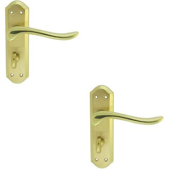 Loops 2x PAIR Curved Lever on Sculpted Bathroom Backplate 180 x 48mm Dual Brass in Metallics