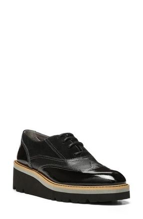 Donald J Pliner Platform Oxford in Black at Nordstrom, Size 7