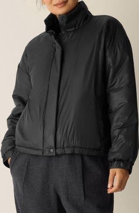 Eileen Fisher Stand Collar Puffer Jacket in Black at Nordstrom Rack, Size X-Large
