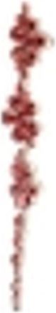 Simone Rocha Womens Floral Earrings - Simone Rocha Synthetic Pearls Red Synthetic_pearls Jewelry-Watches