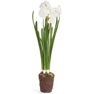 Napa Home & Garden Paperwhite Drop-In Artificial 17 at Nordstrom