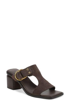 Franco Sarto Roux Slide Sandal in Umber Brown at Nordstrom, Size 5.5