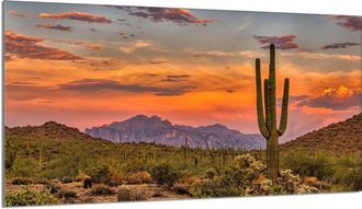 OEM Placa Protectora De Vidrio Para Estufa 90x52 Monta&ntilde;as