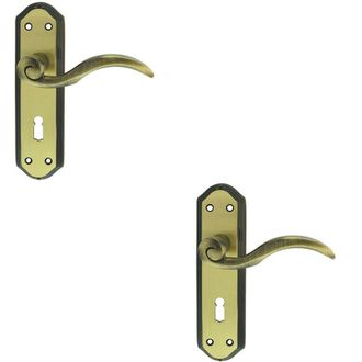 Loops 2x PAIR Spiral Sculpted Handle on Lock Backplate 180 x 48mm Florentine Bronze