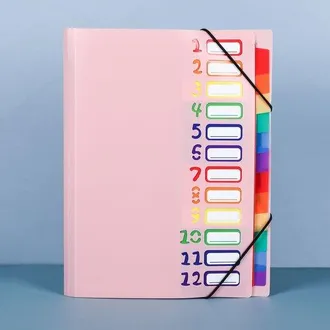 OEM 1 Carpeta Documentos A4, Carpeta Port&aacute;til Expandible 12 Compartimentos, Carpeta Organizadora Pl&aacute;stico Pp Banda El&aacute;stica, Impermeable, Rosa Rojo