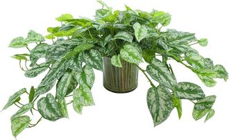 Creative Displays Inc. Handmade Faux Ivy Arrangement In Glass Vase