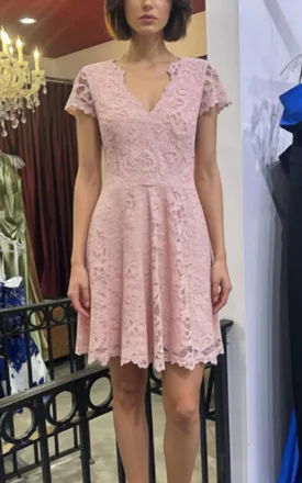Vince Camuto Lace Fit And Flare Cap Sleeve Dress In Blush