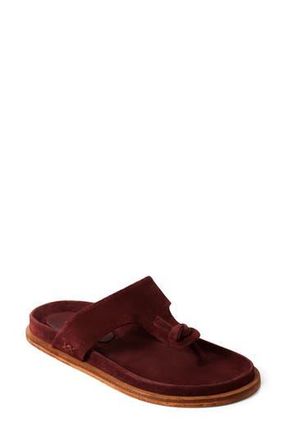 Free People Mika Flip Flop in Cherry Cola Suede at Nordstrom Rack, Size 9.5