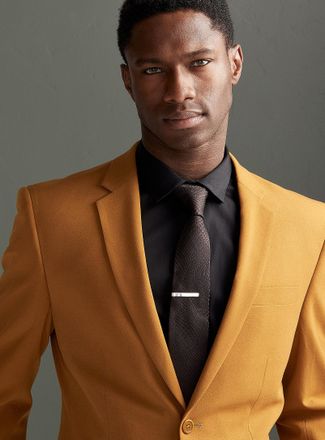 Deux Lions Silver tie clip