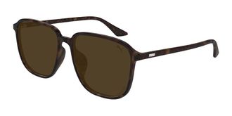 Puma PU0525SA Asian Fit Polarized 004 Mens Sunglasses Tortoiseshell Size 58
