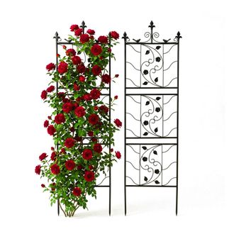 Relaxdays Relaxdays Rejilla Para Enredaderas, 2 Unidades, 172 X 50 Cm, Metal, Soporte Para Plantas Trepadoras Y Rosales, Negro