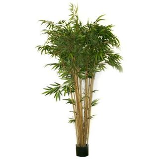 Schubiger M&ouml;bel Kunstpflanze Bambus im Topf H: 210 cm