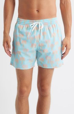 Chubbies The Grooves 5.5-Inch Swim Trunks in Light/Pastel Blue at Nordstrom, Size Xx-Large