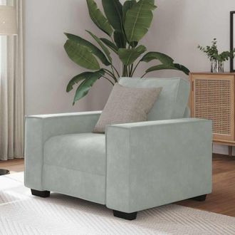 vidaXL Sill&oacute;n Sof&aacute; Gris Claro 60 Cm Terciopelo Vidaxl