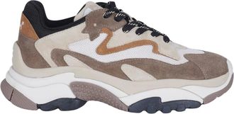 Ash Addict02 Sneakers in Pelle Scamosciata di Vitello - - Shoes - Donna - Beige - 38 EU