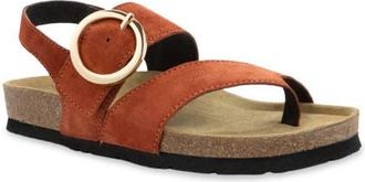 Naot Baltimore Slingback Sandal in Spice Nubuck at Nordstrom, Size 11Us