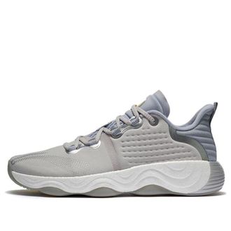 Li-Ning Multifunction Gym Athleisure Casual Sports Shoe Gray AFVS003-1