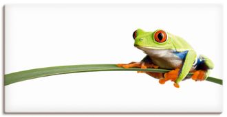 Artland Wandbild »Frosch auf einem Blatt« Wassertiere 1 Stk. tlg. als Alubild, Outdoorbild, Leinwandbild, Poster, Wandaufkleber