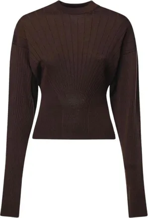 Sportmax Truien & Vesten, Dames, Bruin, M, Spxlatino Ronde hals gebreide kleding