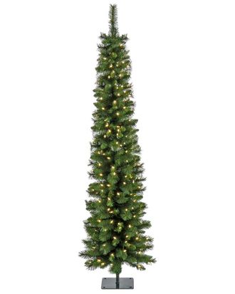 National Tree Company 6Ft Pre-Lit Nooksack Fir Pencil Slim Tree With Lights