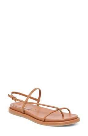 Dolce Vita Dom Strappy Sandal in Saddle Leather at Nordstrom, Size 10