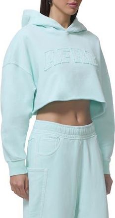 AFRM Darius Crop Cotton Hoodie in Icy Morn at Nordstrom Rack, Size Xx-Large