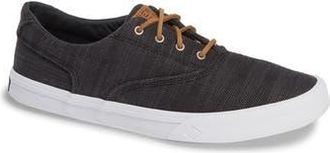 Sperry Top-Sider Striper II Baja CVO Sneaker in Black at Nordstrom Rack, Size 10.5
