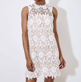 Apricot Lace Shift Dress In White