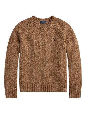 Polo Ralph Lauren Trui met lange mouwen - Bruin